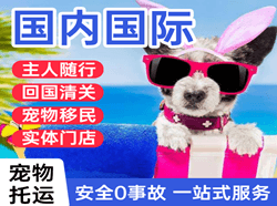 河东机场托运国际宠物托运 【国